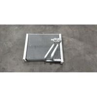 Evaporator Core Assembly 1344491000