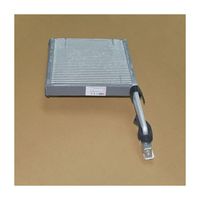 Evaporator Core Assembly 301000820AA