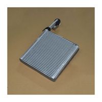Evaporator Core Assembly 301001238AA