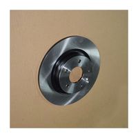 Rear Brake Disc 204000376AA