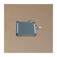 Evaporator Core Assembly 301003038AA