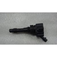 Ignition Coil 1270698900