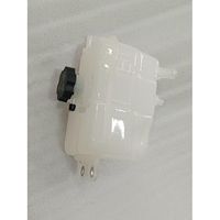 Auxiliary Coolant Tank Assembly 1331911100