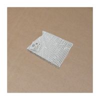 Filter Element 301001574AA