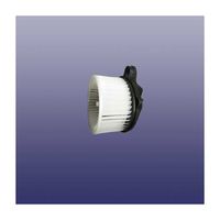 Blower Motor Assembly F088107016
